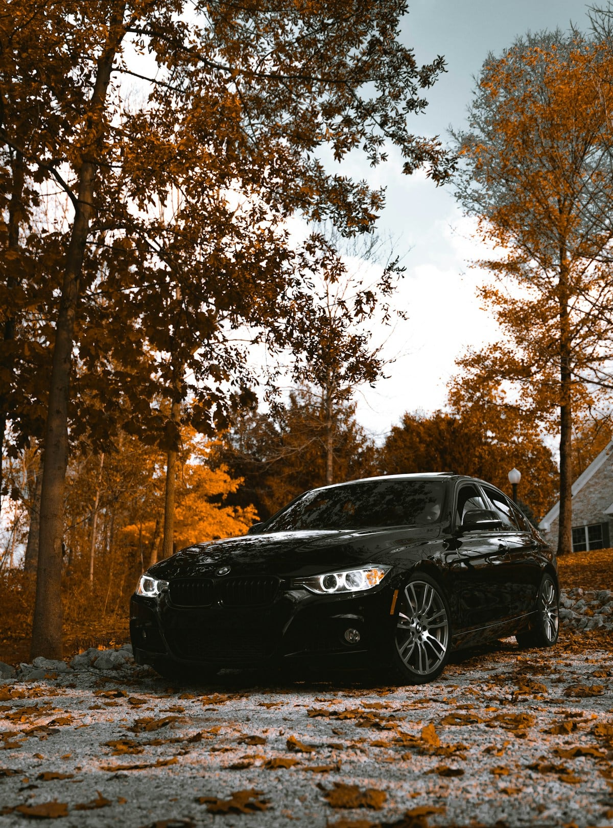 Luxury rental collection
